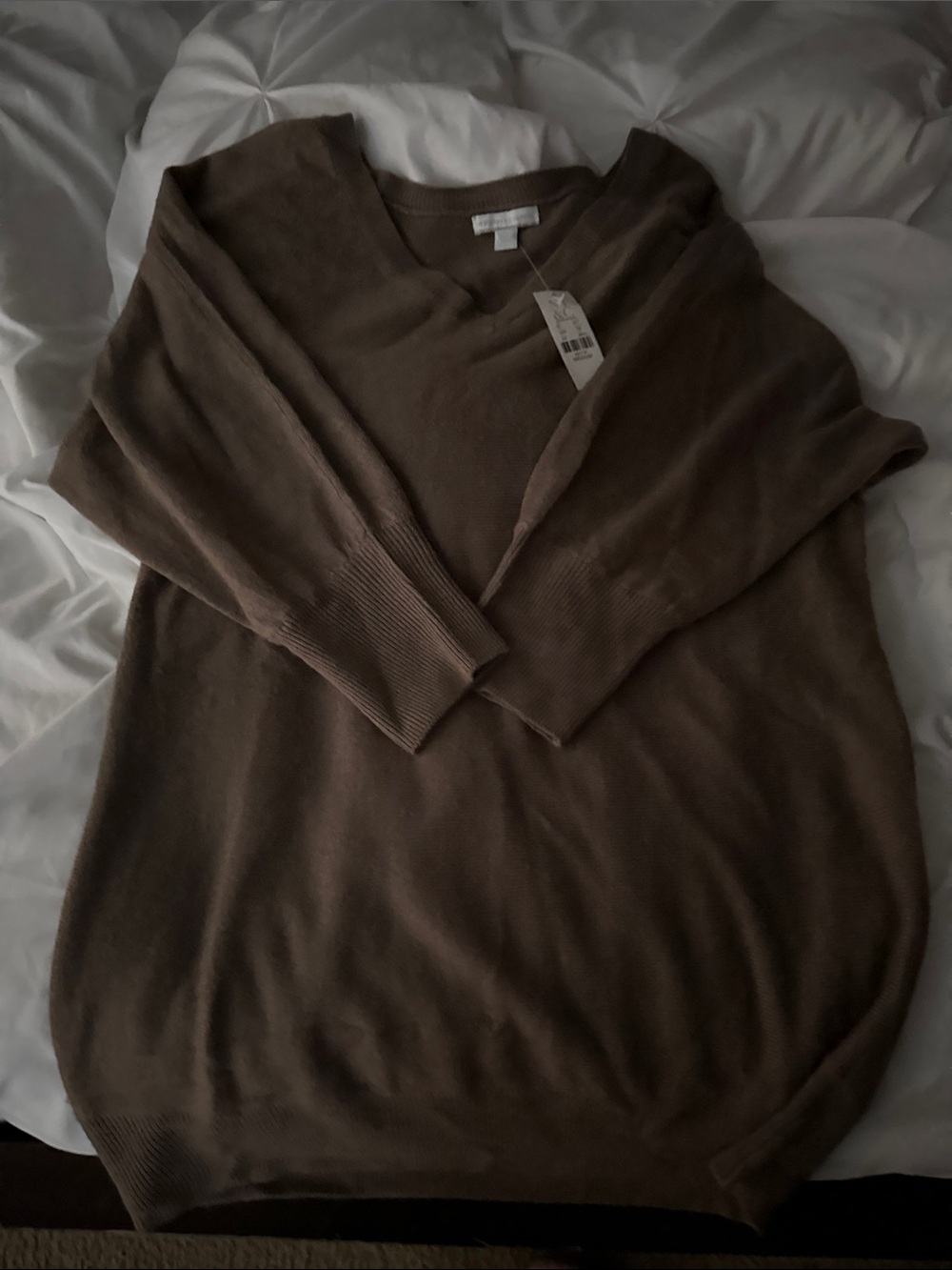 New York & Company V-Neck Sweater in Brown